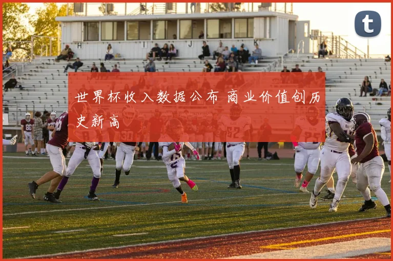 世界杯收入数据公布 商业价值创历史新高