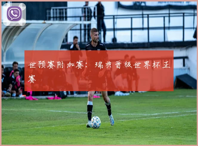 世预赛附加赛：瑞典晋级世界杯正赛
