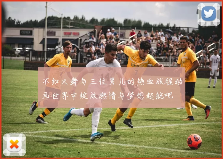 不知火舞与三位男儿的热血旅程动画世界中绽放燃情与梦想起航吧