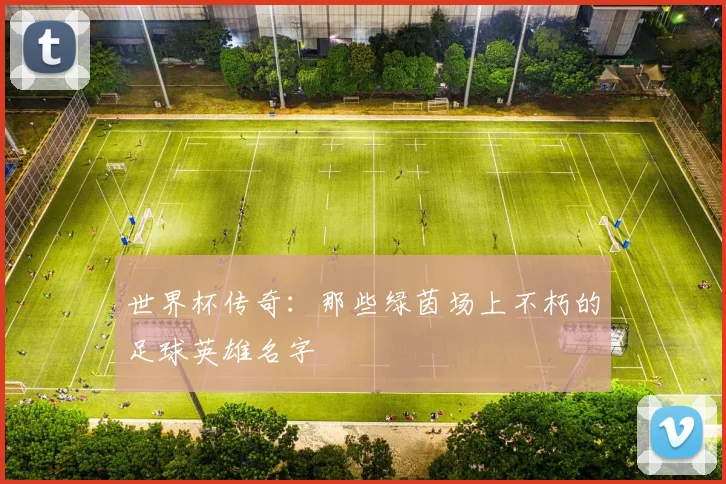 世界杯传奇:那些绿茵场上不朽的足球英雄名字