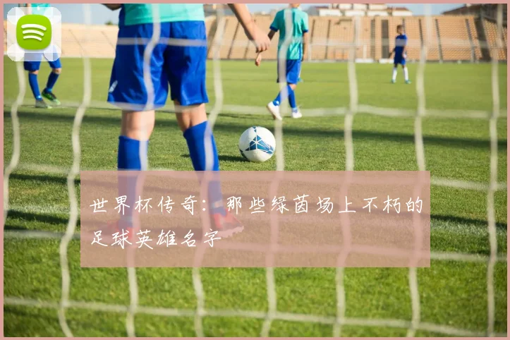世界杯传奇:那些绿茵场上不朽的足球英雄名字