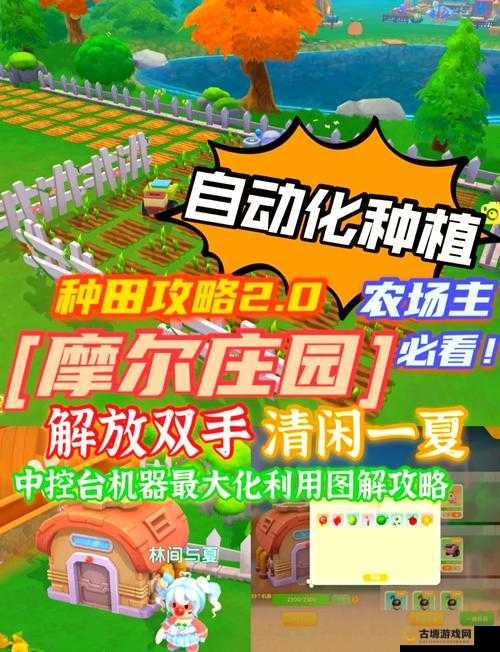 绝了!摩尔庄园小镇进阶攻略,手把手教你秒变大神!