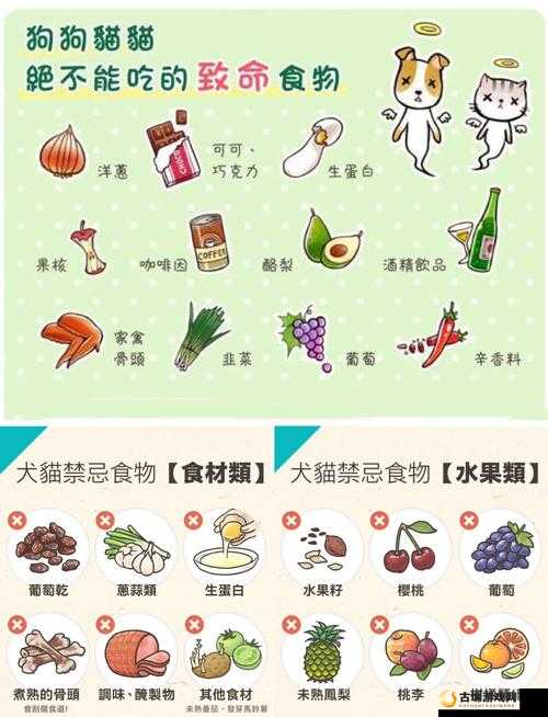 凝神回复必看!速升战力的隐藏技巧+超实用回复食物清单
